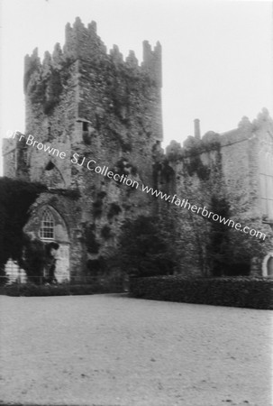 TINTERN ABBEY TOWER & S.TRANSEPT WALL FROM S.W.